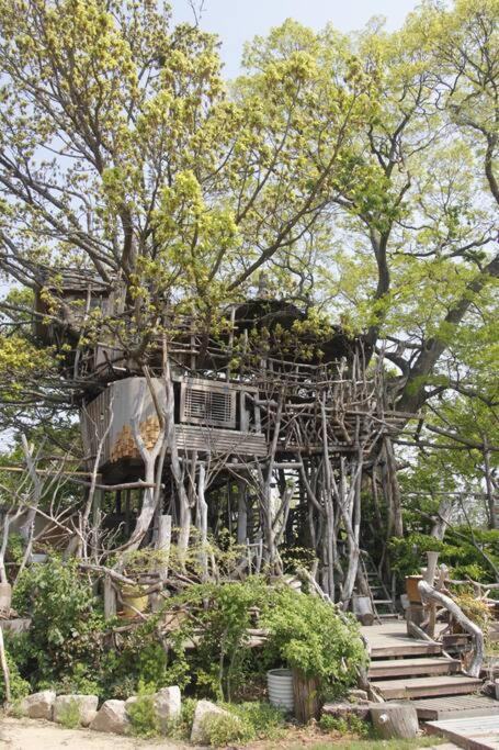 Mizuno San'S Tree House Villa Gimje Exterior photo