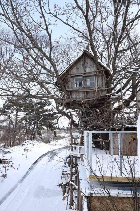 Mizuno San'S Tree House Villa Gimje Exterior photo