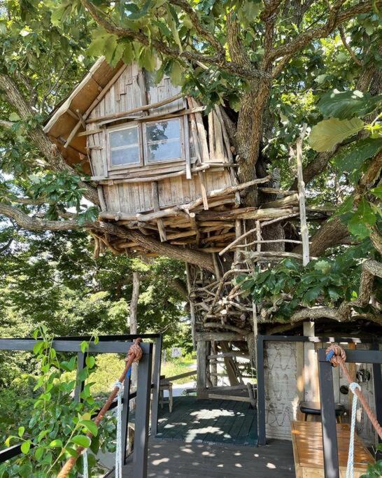 Mizuno San'S Tree House Villa Gimje Exterior photo