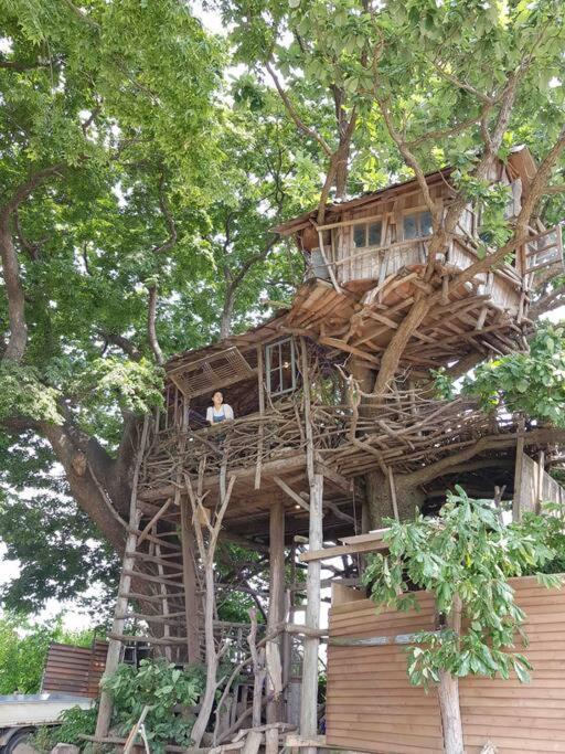 Mizuno San'S Tree House Villa Gimje Exterior photo